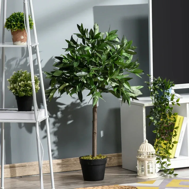 Catalogue photo of the Bay laurel topiary